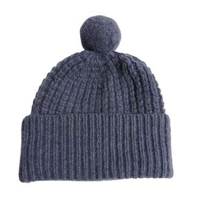 Everlane Blue Knit Beanie